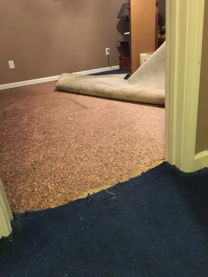Carpet pad removal revealing water damage during Drying & Dehumidification in Laguna Niguel